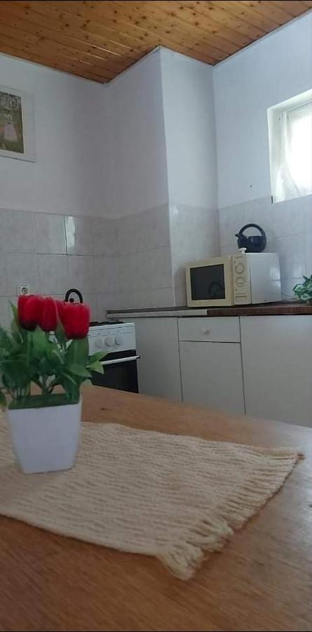 Visszavar-Lak Privat Berlemeny Badacsonytomaj Ngoại thất bức ảnh
